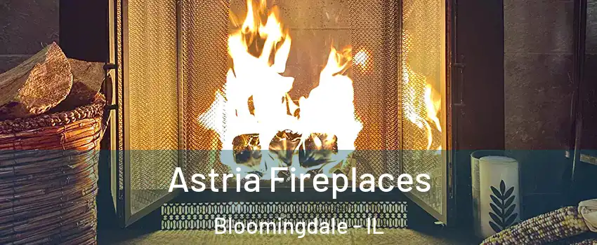  Astria Fireplaces Bloomingdale - IL