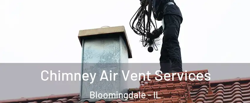  Chimney Air Vent Services Bloomingdale - IL