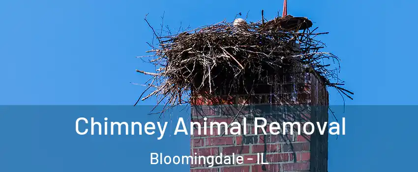  Chimney Animal Removal Bloomingdale - IL