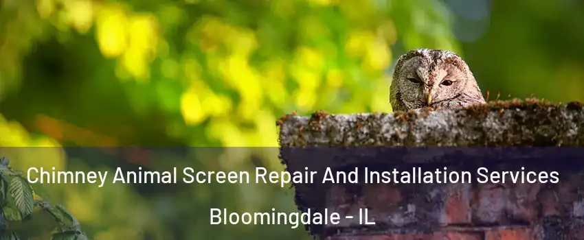  Chimney Animal Screen Repair And Installation Services Bloomingdale - IL