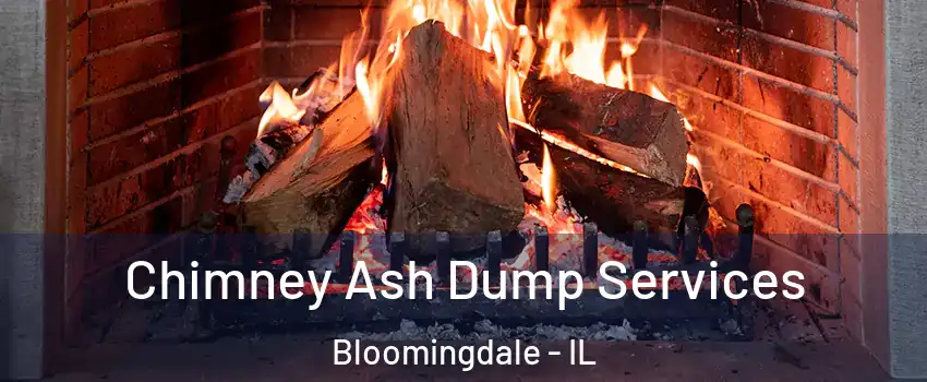  Chimney Ash Dump Services Bloomingdale - IL