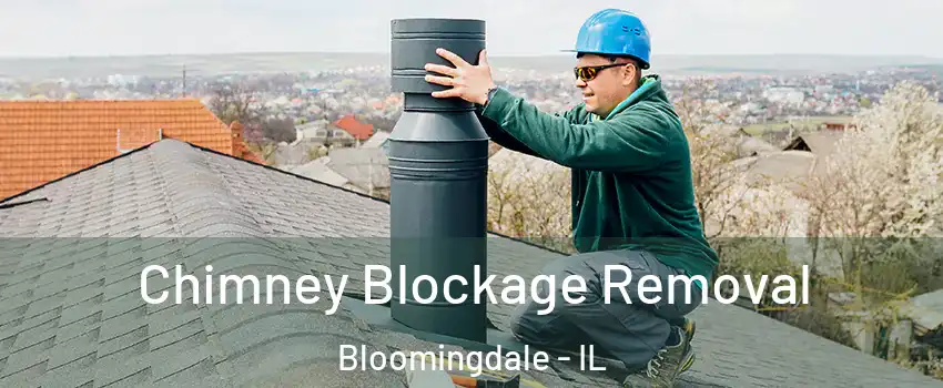  Chimney Blockage Removal Bloomingdale - IL