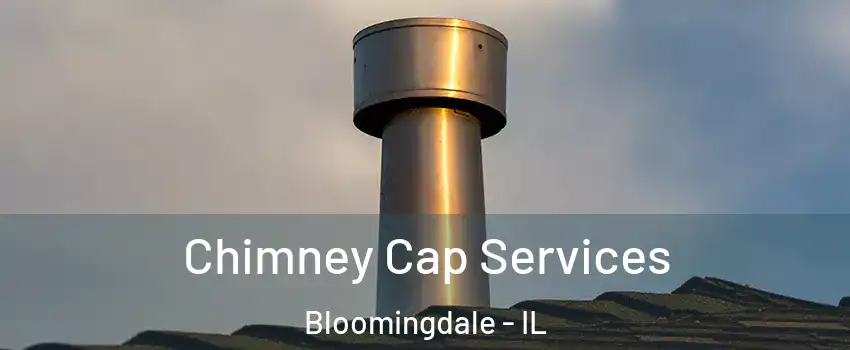  Chimney Cap Services Bloomingdale - IL