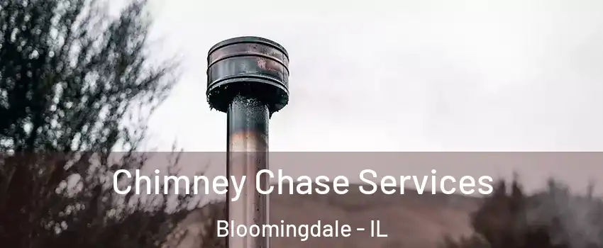  Chimney Chase Services Bloomingdale - IL