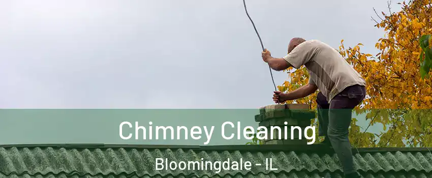  Chimney Cleaning Bloomingdale - IL