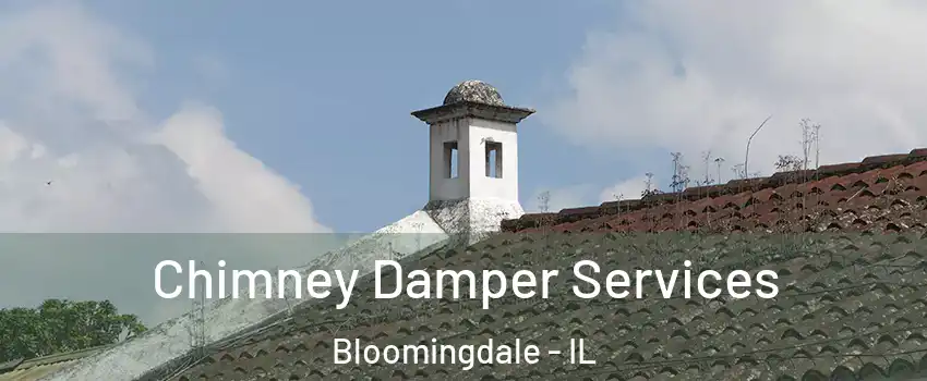  Chimney Damper Services Bloomingdale - IL