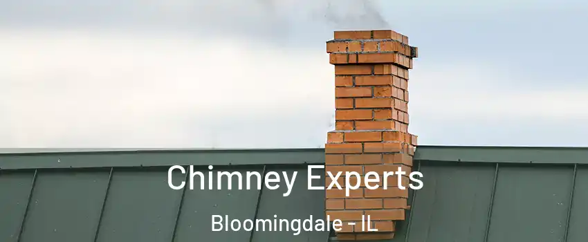  Chimney Experts Bloomingdale - IL