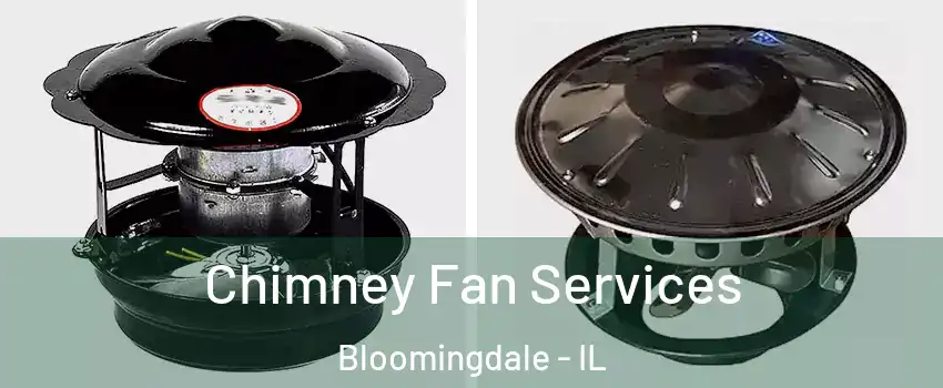  Chimney Fan Services Bloomingdale - IL