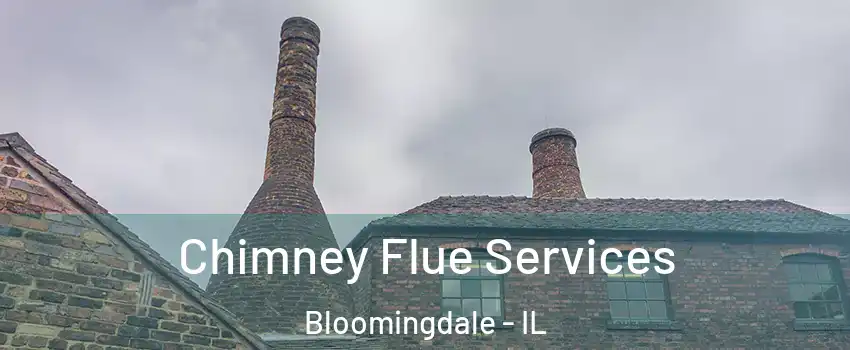  Chimney Flue Services Bloomingdale - IL