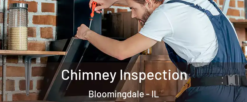  Chimney Inspection Bloomingdale - IL