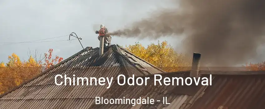  Chimney Odor Removal Bloomingdale - IL