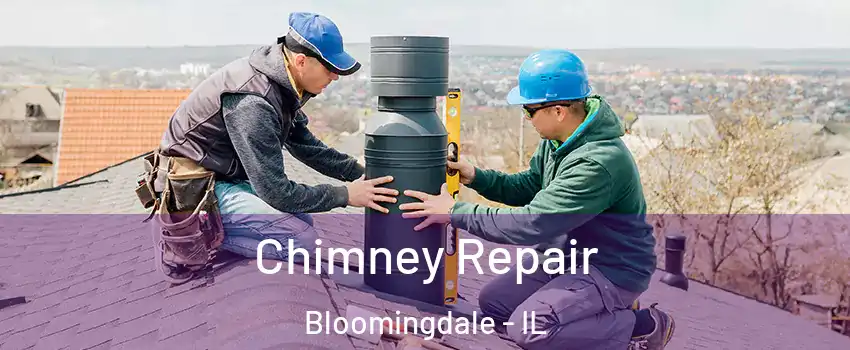  Chimney Repair Bloomingdale - IL