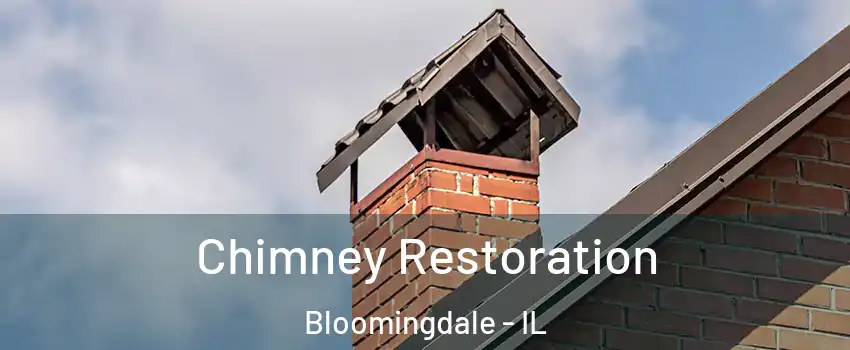  Chimney Restoration Bloomingdale - IL