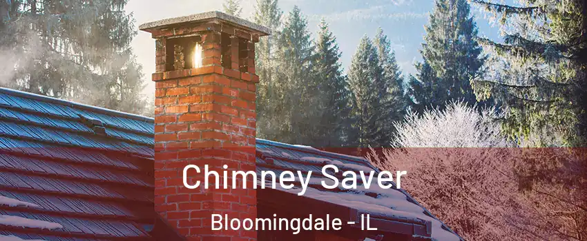 Chimney Saver Bloomingdale - IL