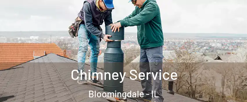  Chimney Service Bloomingdale - IL