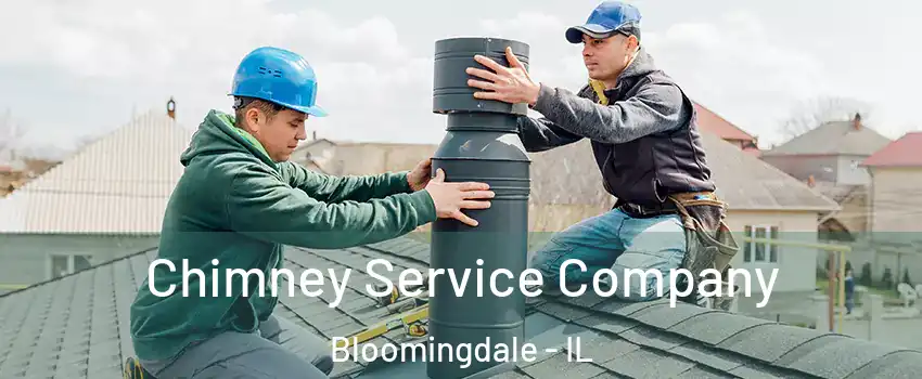  Chimney Service Company Bloomingdale - IL