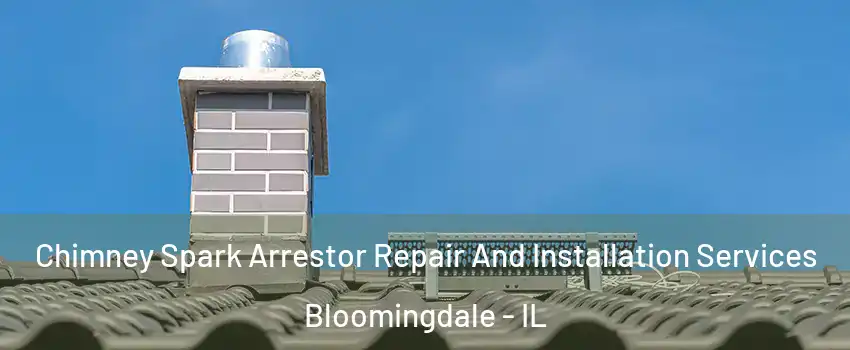  Chimney Spark Arrestor Repair And Installation Services Bloomingdale - IL