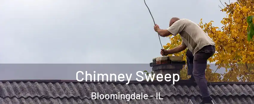  Chimney Sweep Bloomingdale - IL