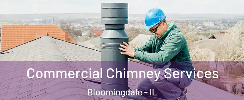 Commercial Chimney Services Bloomingdale - IL