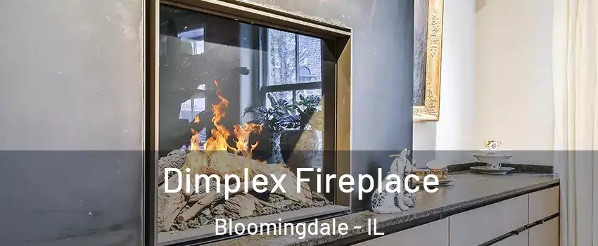  Dimplex Fireplace Bloomingdale - IL