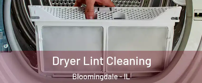  Dryer Lint Cleaning Bloomingdale - IL
