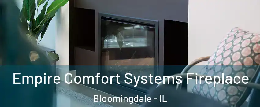  Empire Comfort Systems Fireplace Bloomingdale - IL