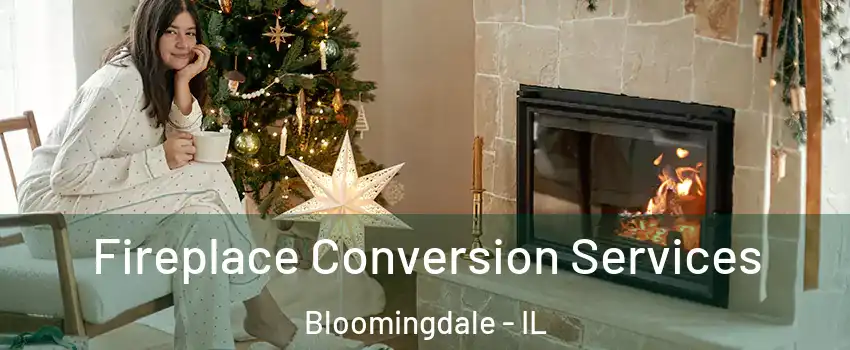  Fireplace Conversion Services Bloomingdale - IL
