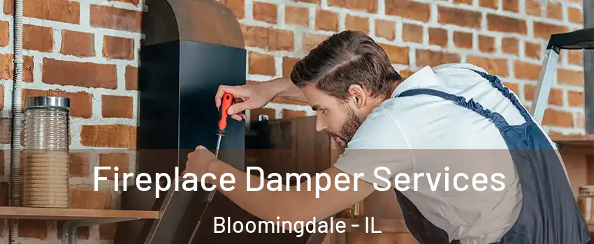  Fireplace Damper Services Bloomingdale - IL