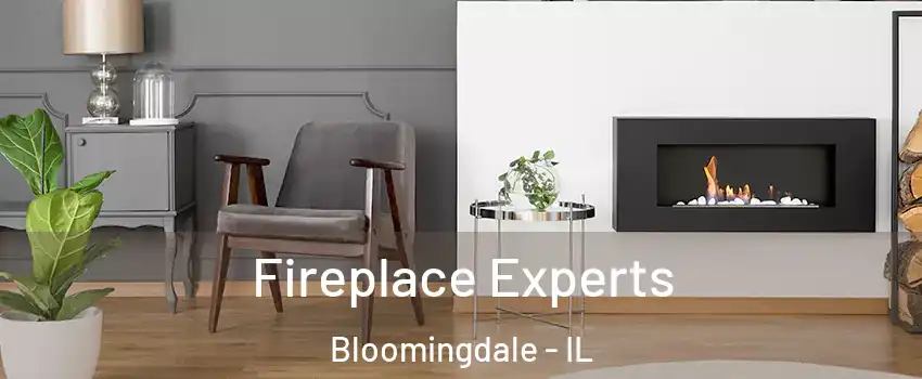  Fireplace Experts Bloomingdale - IL