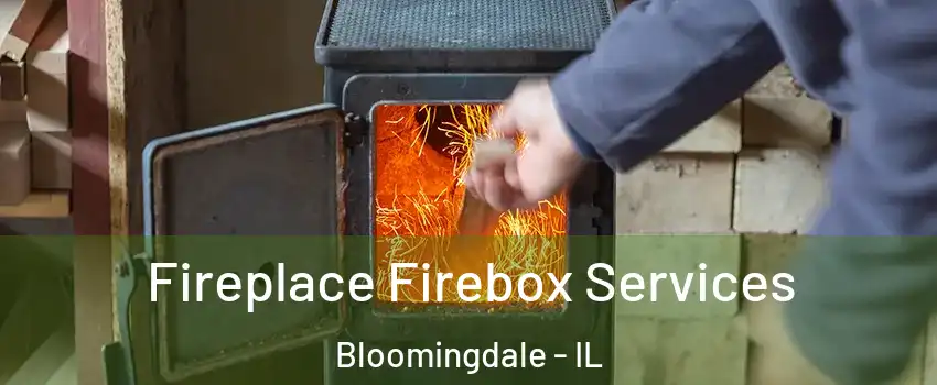  Fireplace Firebox Services Bloomingdale - IL