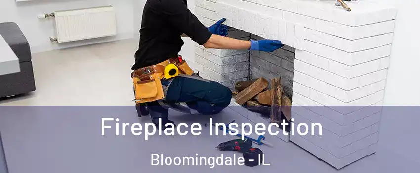  Fireplace Inspection Bloomingdale - IL