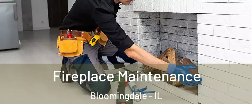  Fireplace Maintenance Bloomingdale - IL