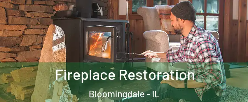  Fireplace Restoration Bloomingdale - IL
