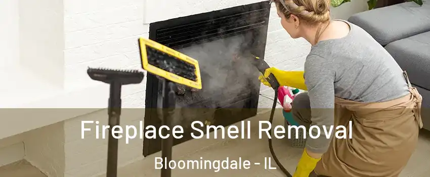  Fireplace Smell Removal Bloomingdale - IL