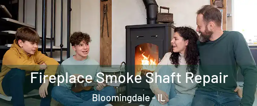  Fireplace Smoke Shaft Repair Bloomingdale - IL