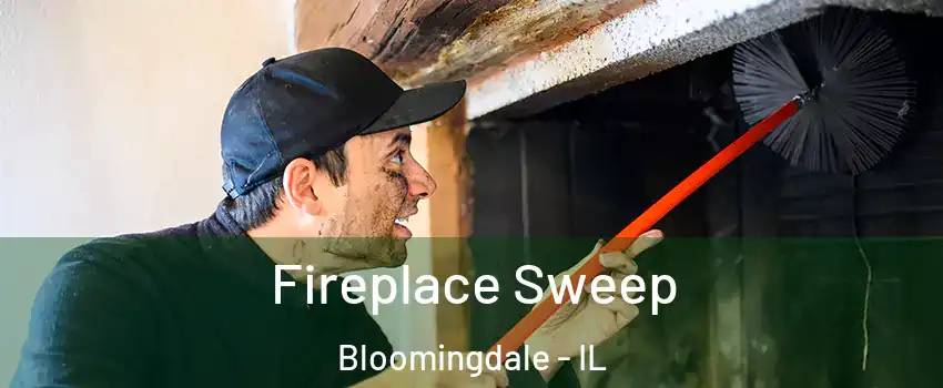  Fireplace Sweep Bloomingdale - IL