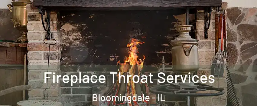  Fireplace Throat Services Bloomingdale - IL