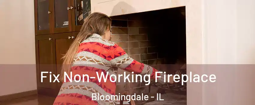  Fix Non-Working Fireplace Bloomingdale - IL