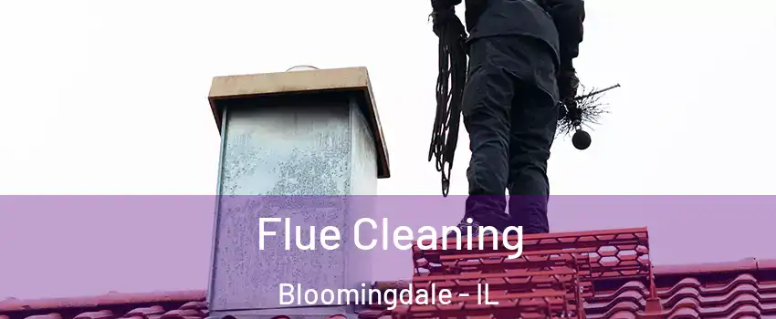  Flue Cleaning Bloomingdale - IL