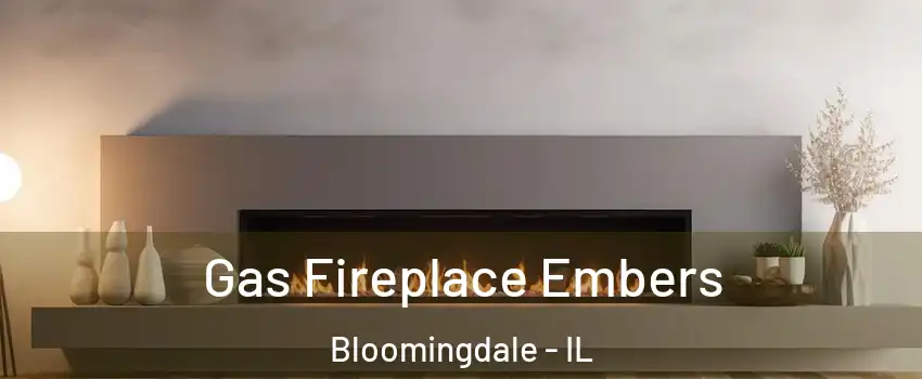  Gas Fireplace Embers Bloomingdale - IL