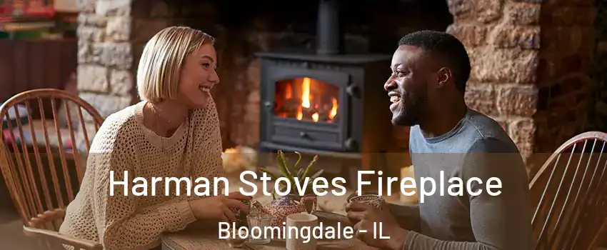  Harman Stoves Fireplace Bloomingdale - IL