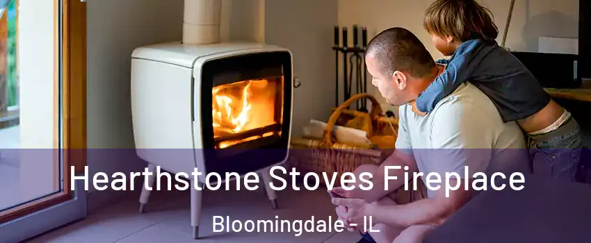  Hearthstone Stoves Fireplace Bloomingdale - IL