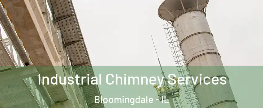  Industrial Chimney Services Bloomingdale - IL