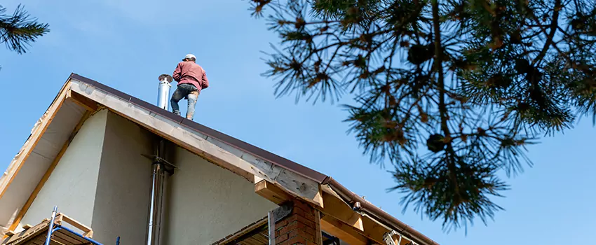 Birds Removal Contractors from Chimney in Bloomingdale, IL