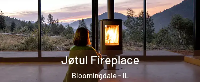  Jøtul Fireplace Bloomingdale - IL