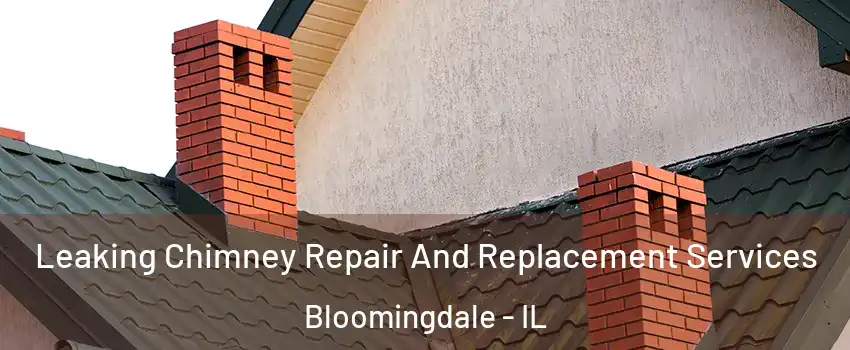  Leaking Chimney Repair And Replacement Services Bloomingdale - IL