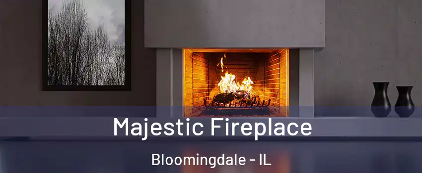  Majestic Fireplace Bloomingdale - IL