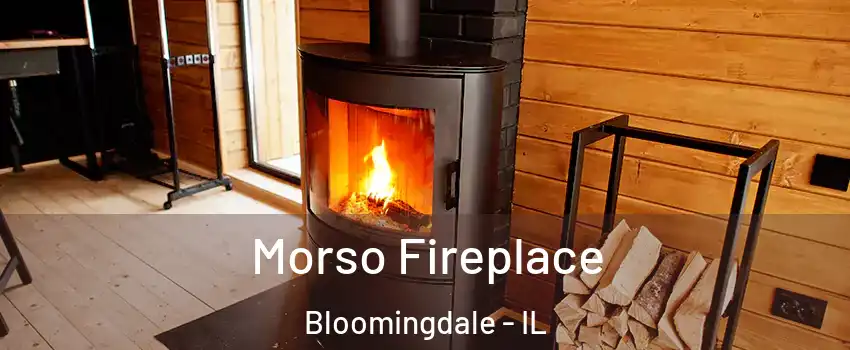 Morso Fireplace Bloomingdale - IL