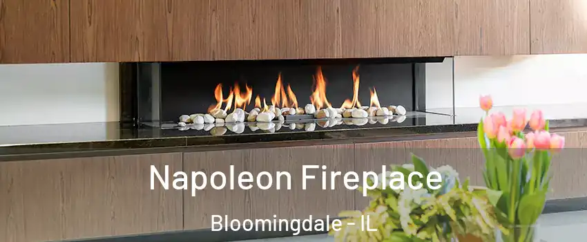  Napoleon Fireplace Bloomingdale - IL