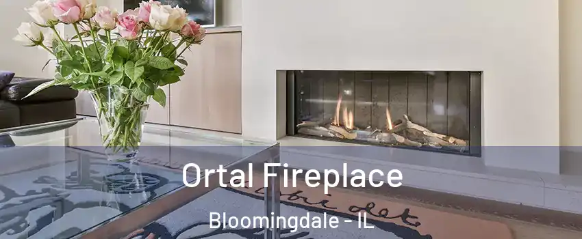  Ortal Fireplace Bloomingdale - IL